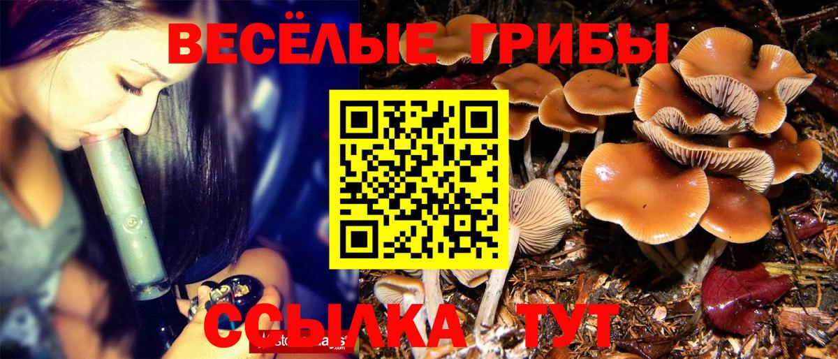 Псилоцибиновые грибы ЛСД Фурманов