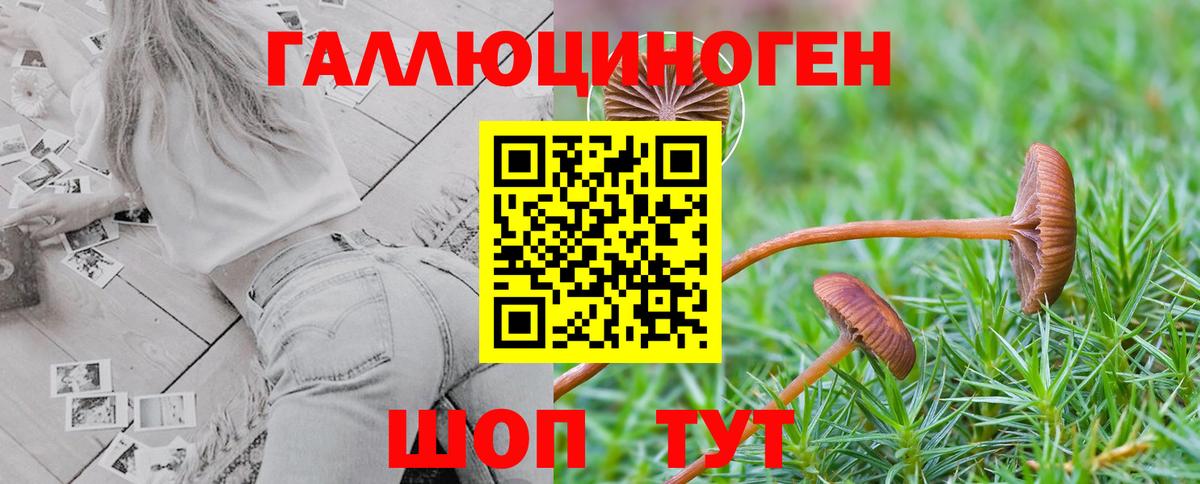 Галлюциногенные грибы ЛСД  Галлюциногенные грибы GOLDEN TEACHER  Фурманов  Вход с VPN 